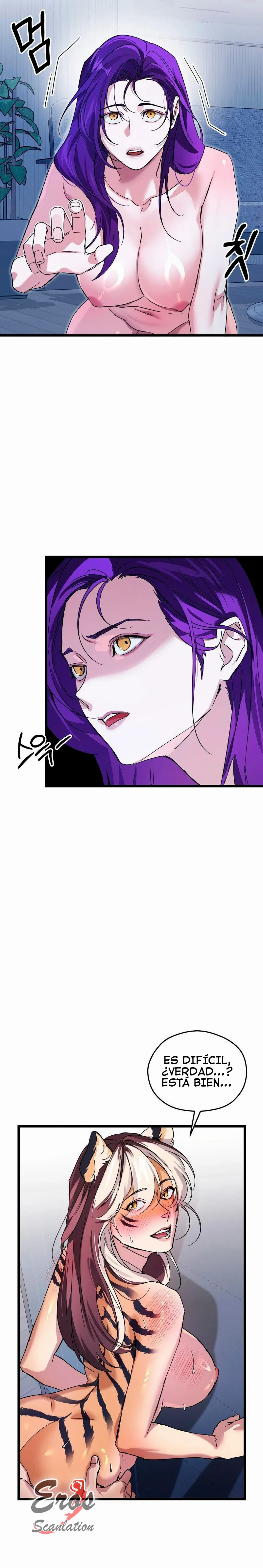 assets image