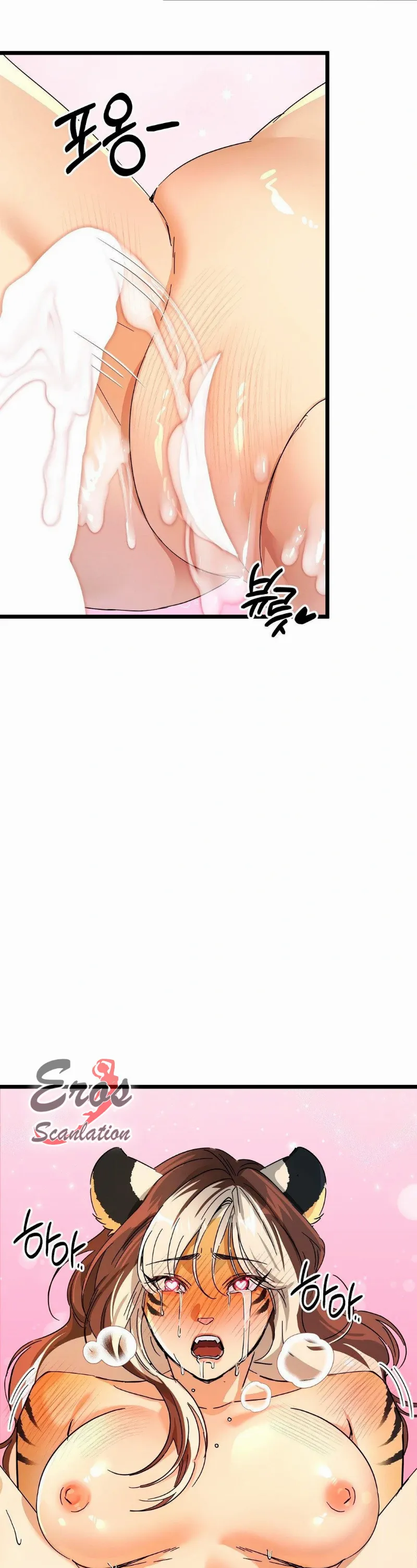 assets image