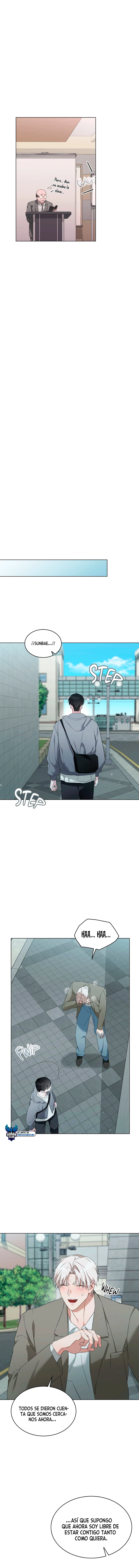 assets image