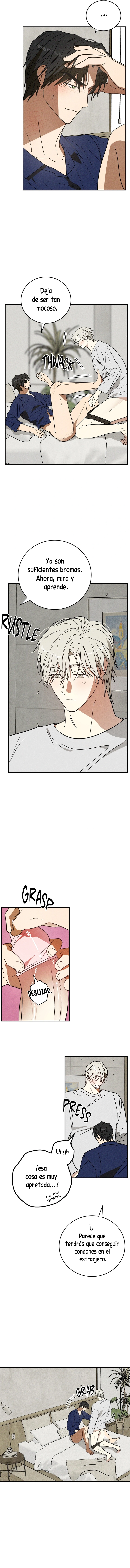 assets image
