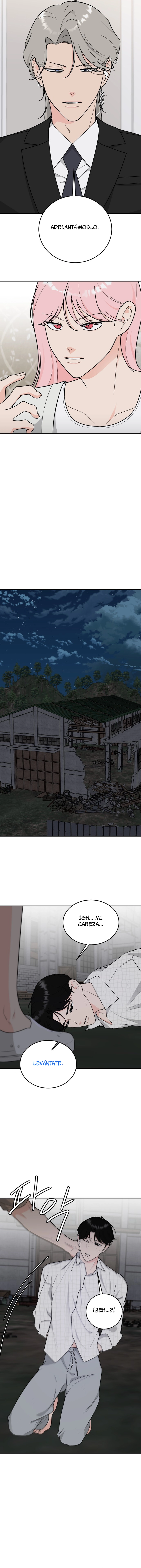 assets image