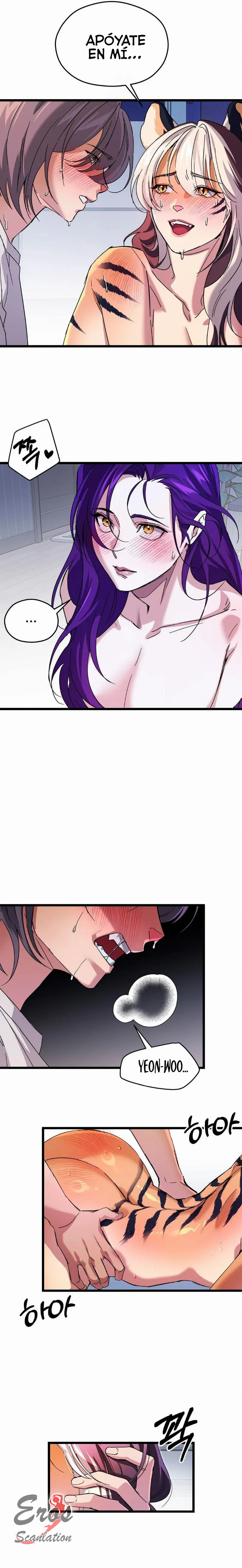 assets image