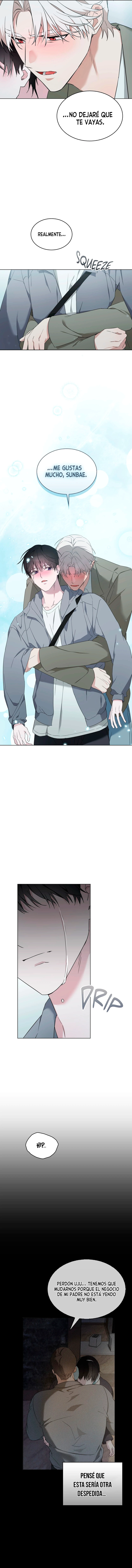 assets image