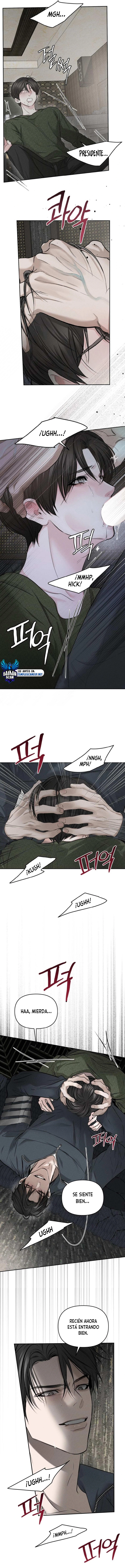 assets image