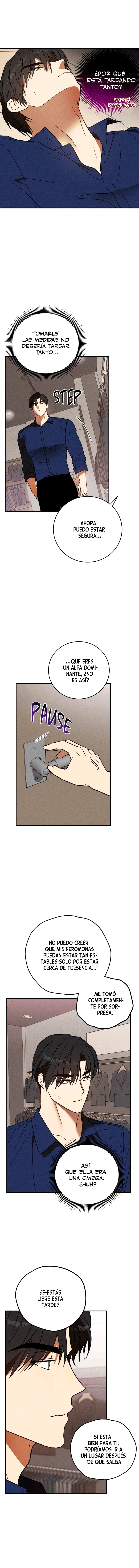 assets image