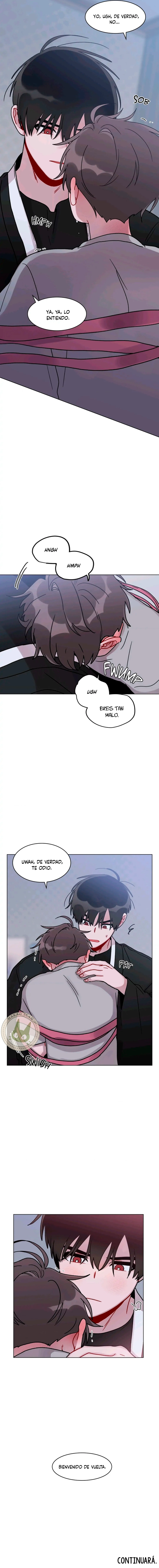 assets image