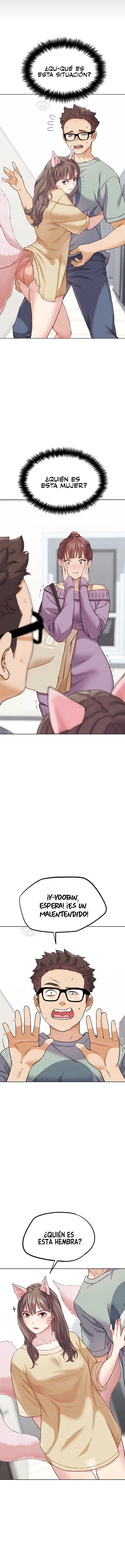 assets image