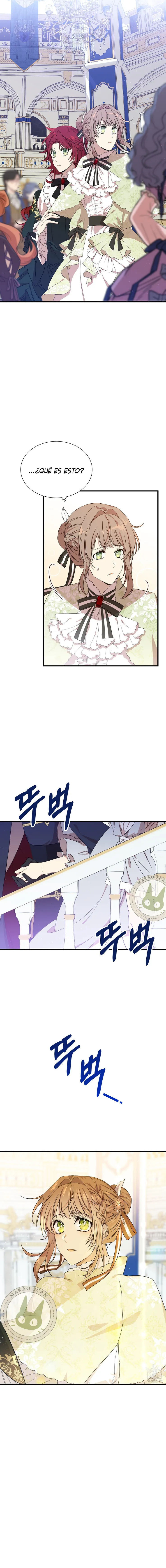 assets image