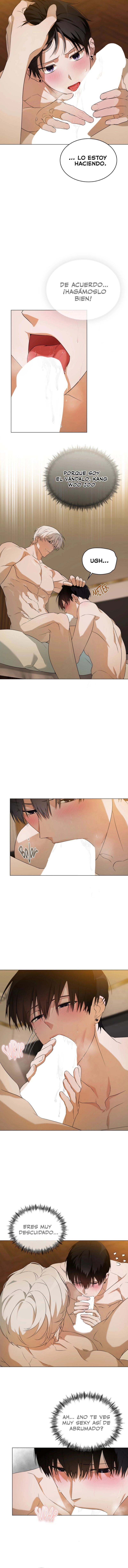 assets image