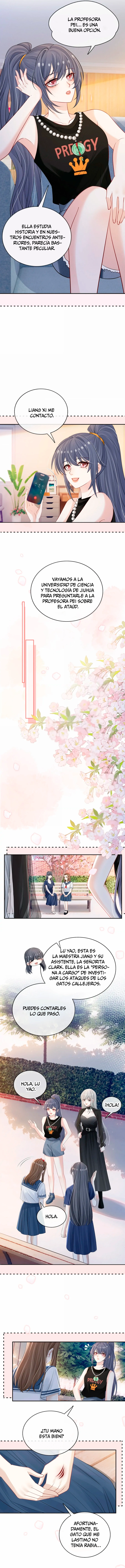 assets image