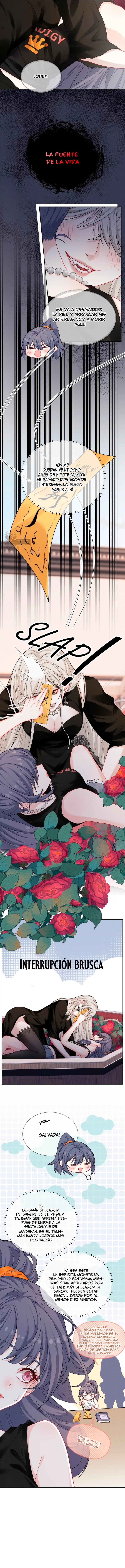 assets image