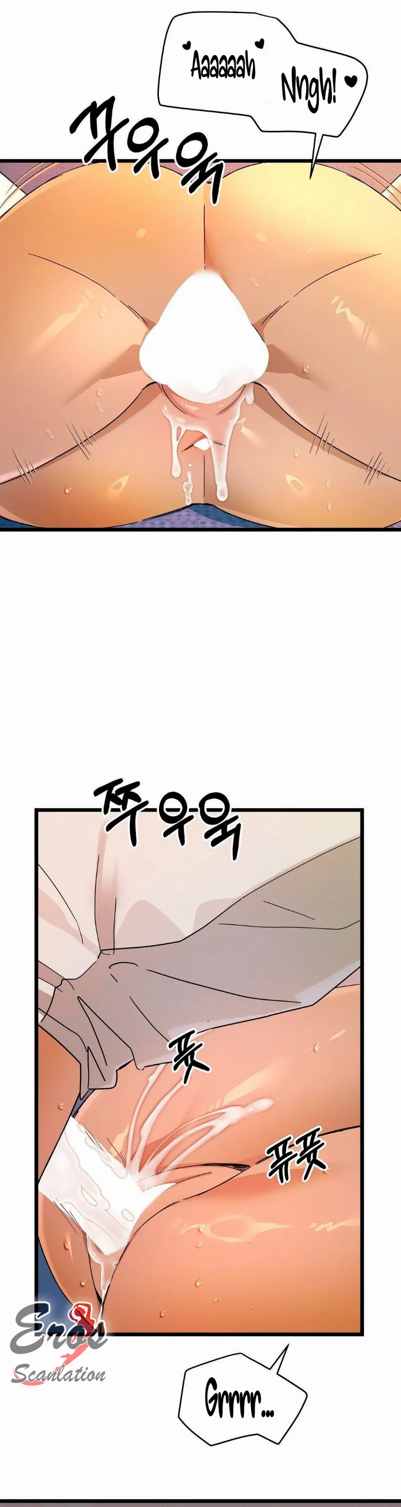 assets image