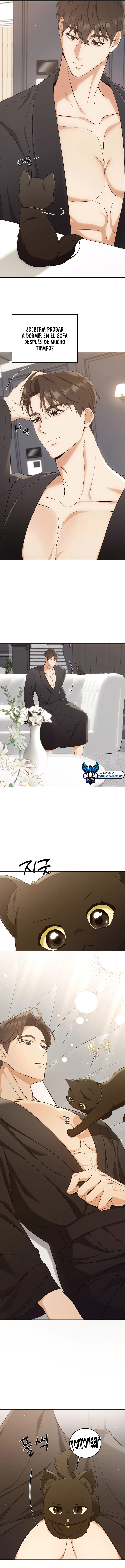 assets image