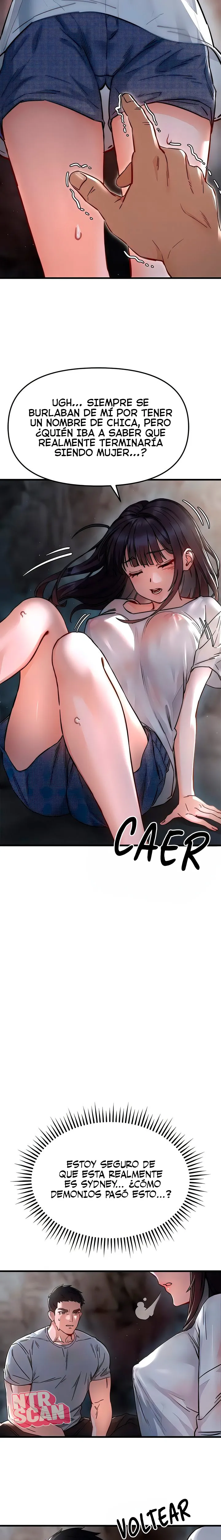 assets image