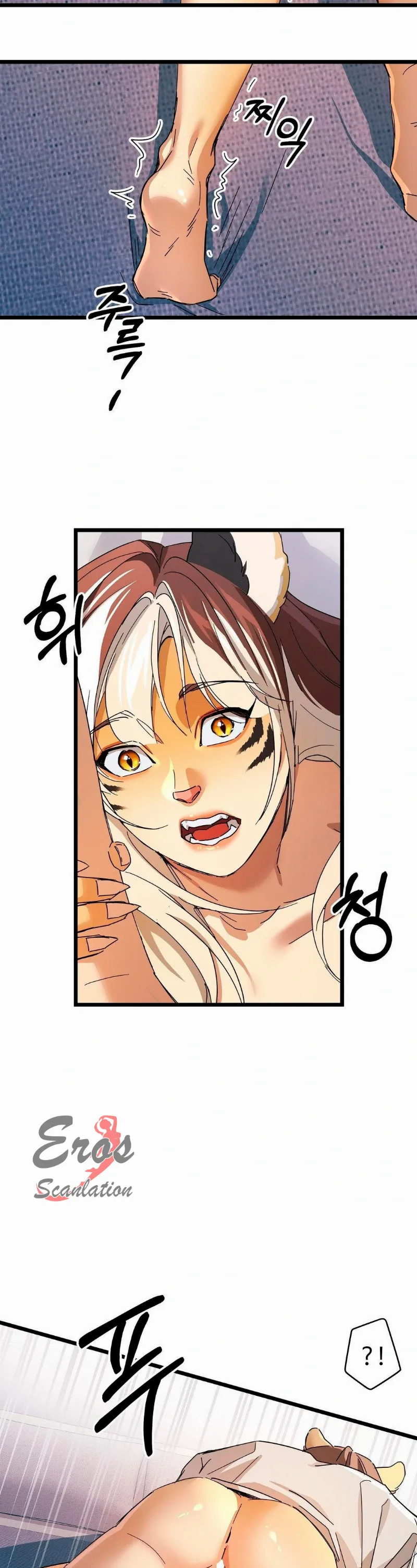 assets image