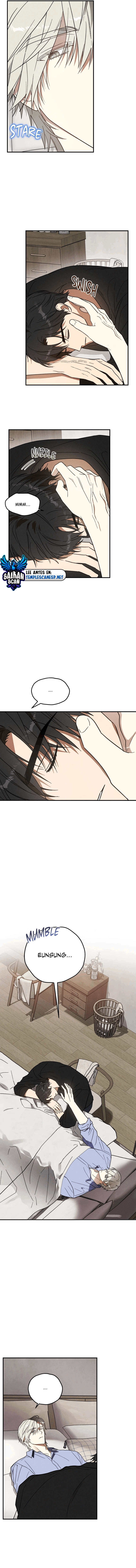 assets image