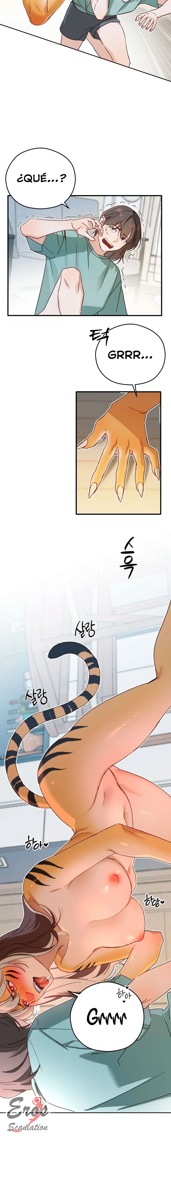 assets image