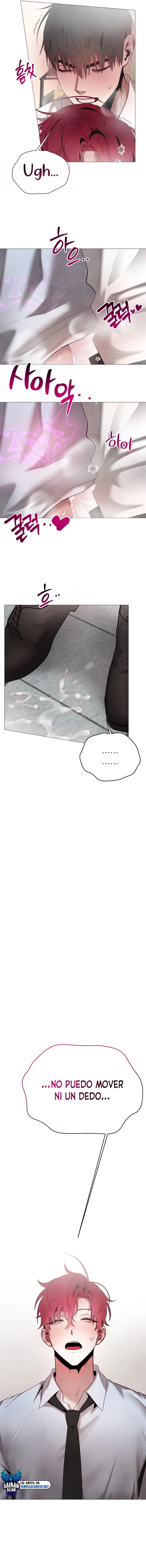 assets image