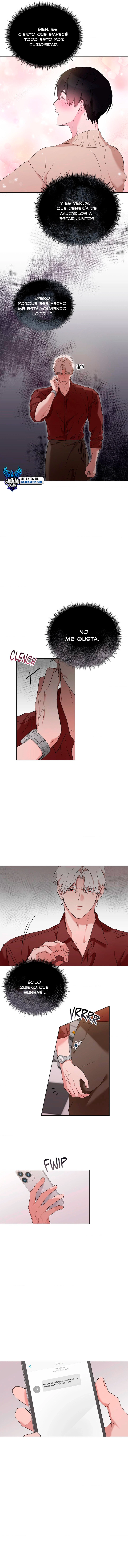 assets image