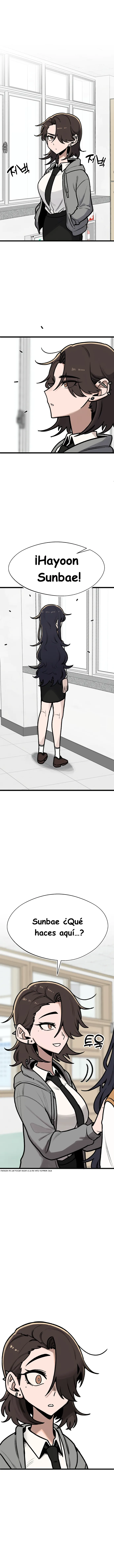 assets image