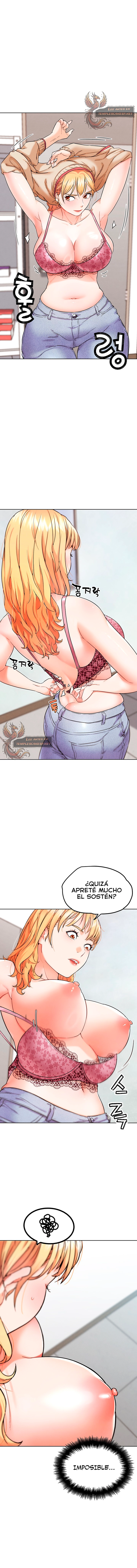 assets image