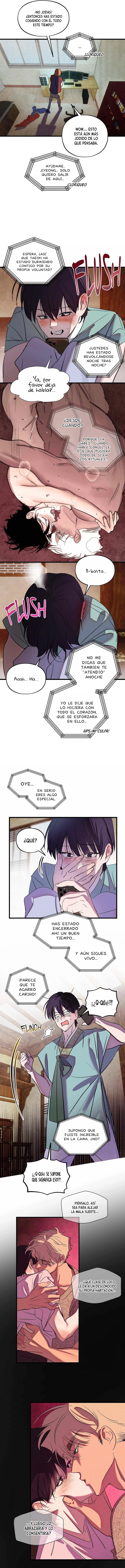 assets image