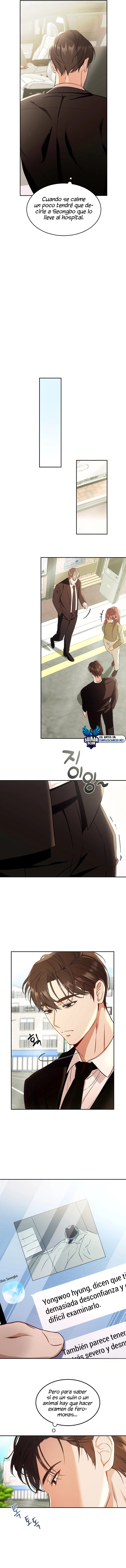 assets image