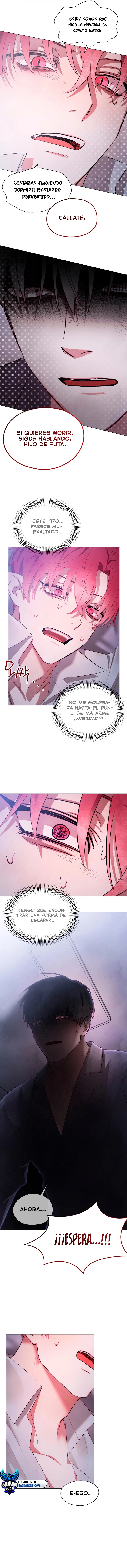 assets image