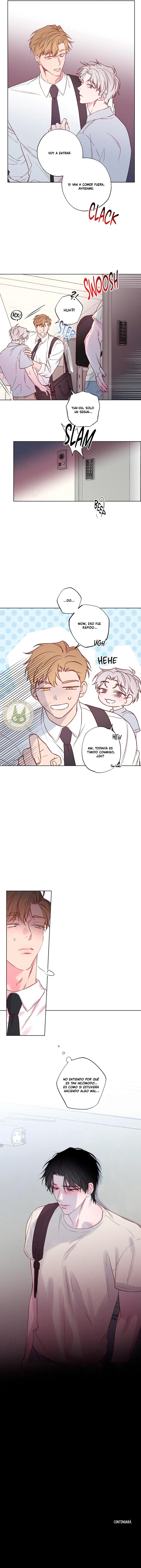 assets image