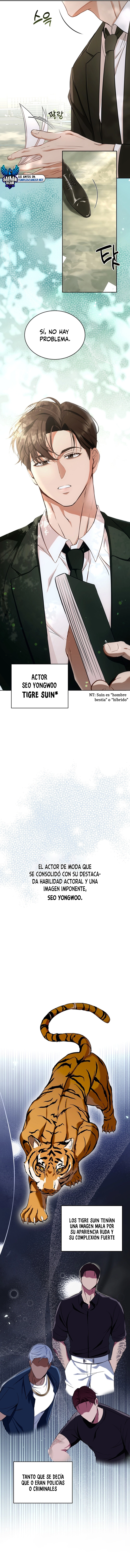 assets image