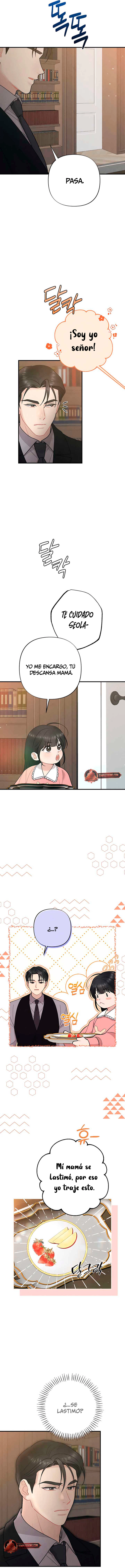 assets image