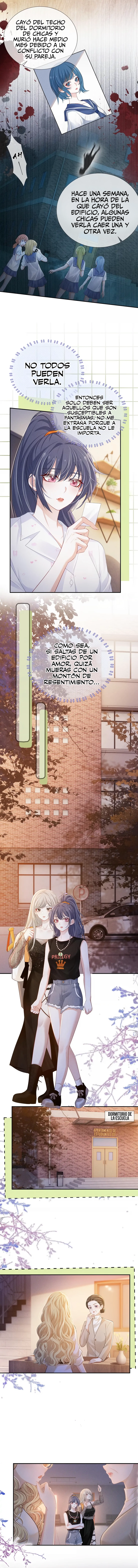assets image