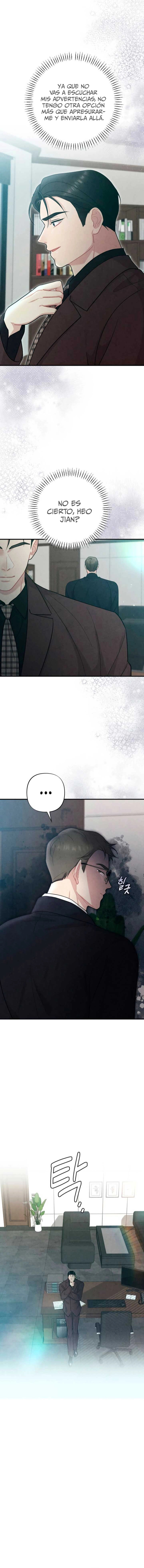 assets image