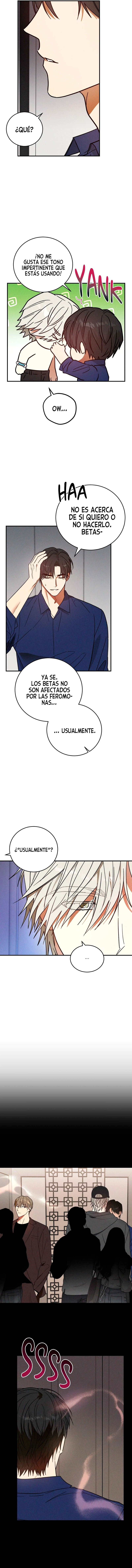 assets image