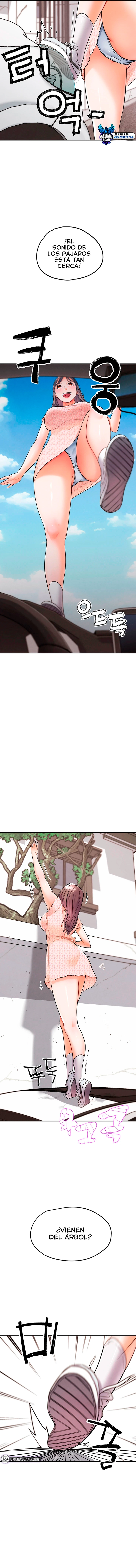 assets image