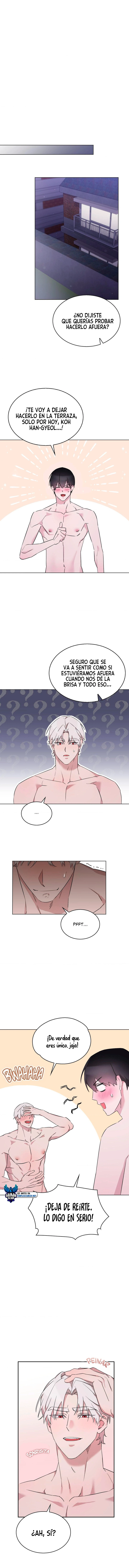 assets image