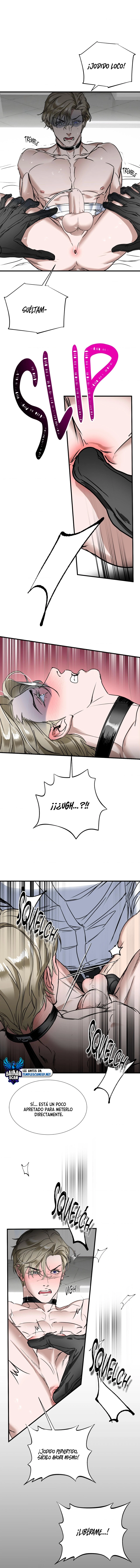 assets image