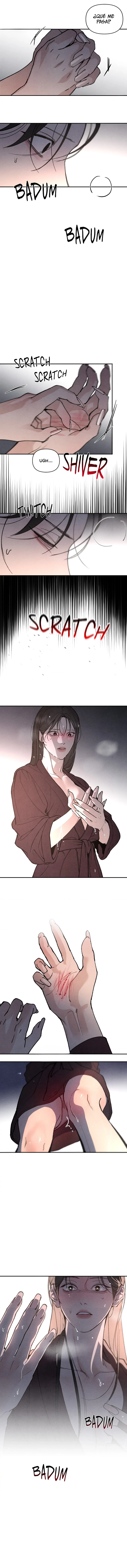 assets image