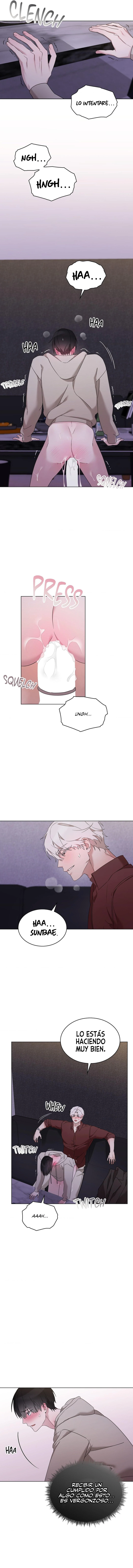 assets image
