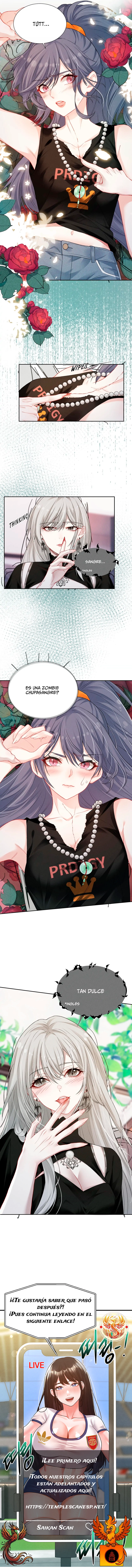 assets image