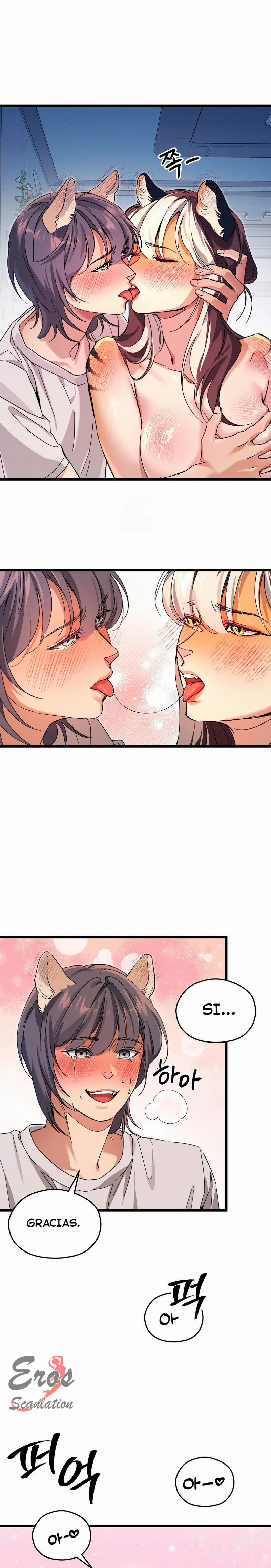 assets image