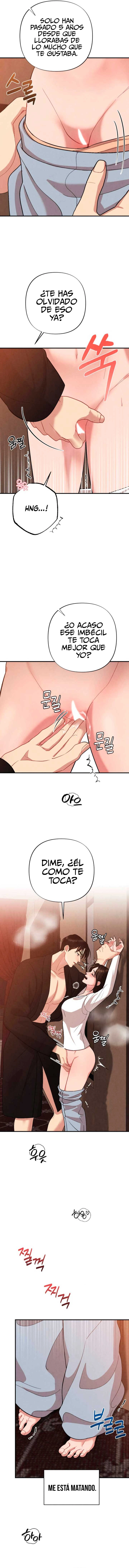 assets image