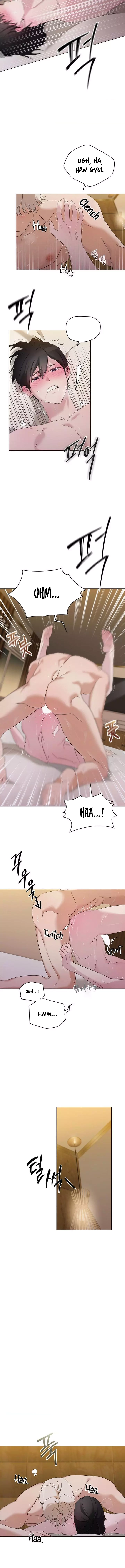 assets image