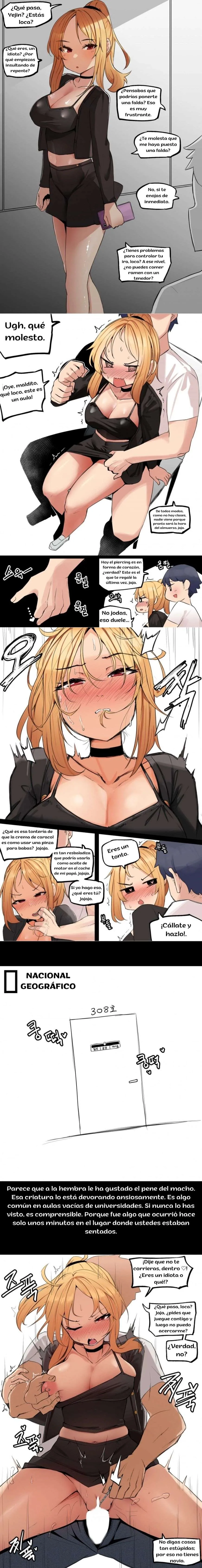 assets image