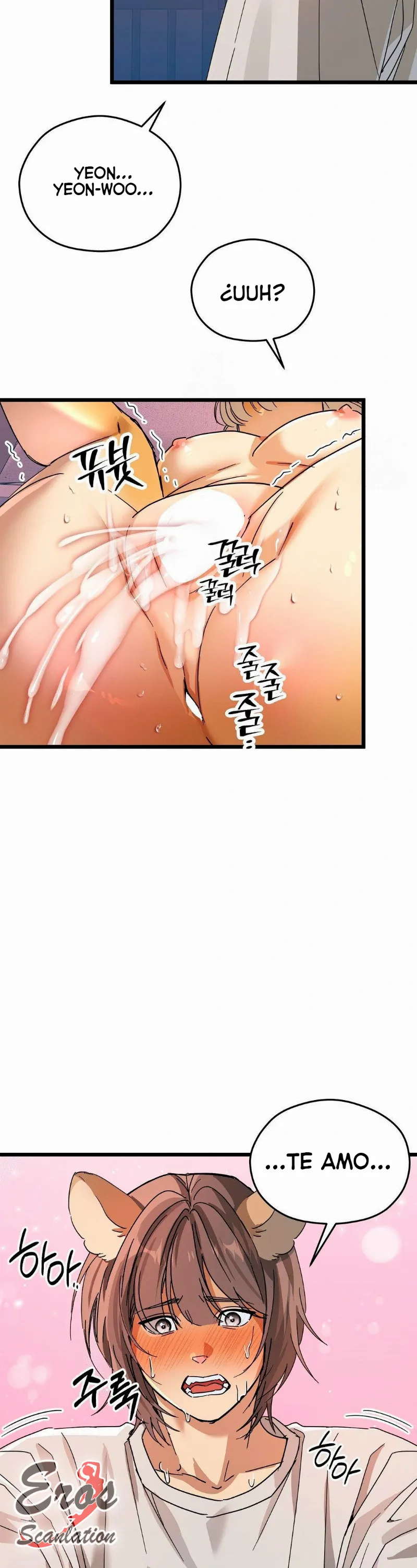 assets image