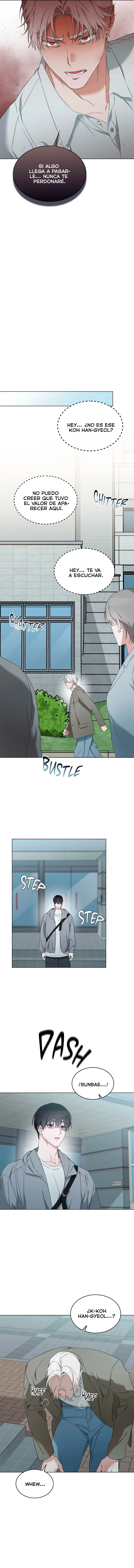 assets image