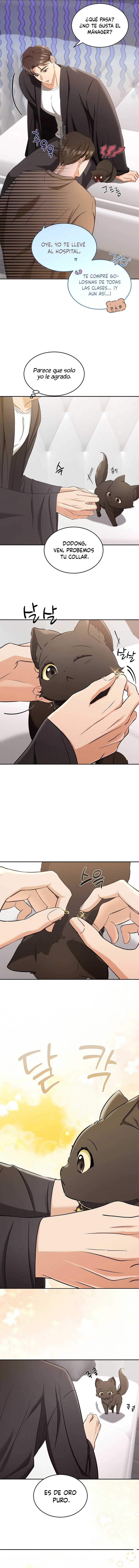 assets image