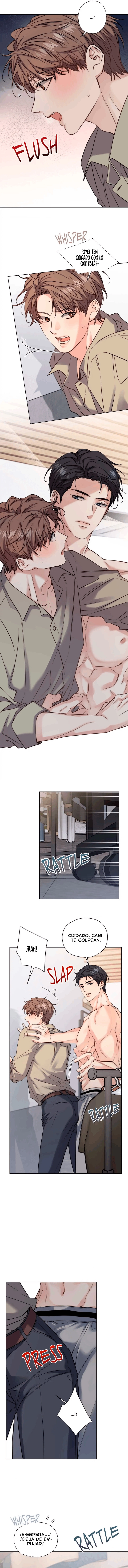 assets image