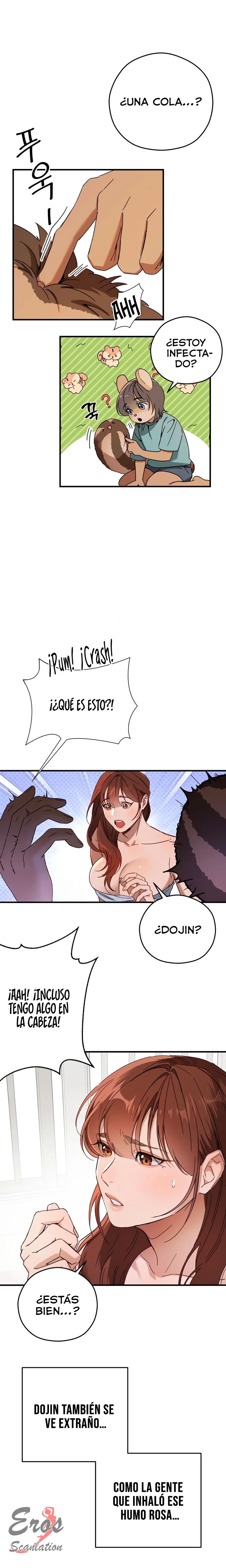 assets image