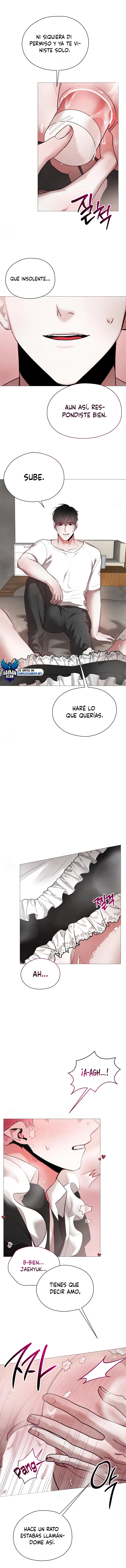 assets image